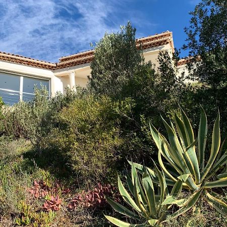 Maison Avec Vue Panoramique Cavalaire-sur-Mer Exteriér fotografie